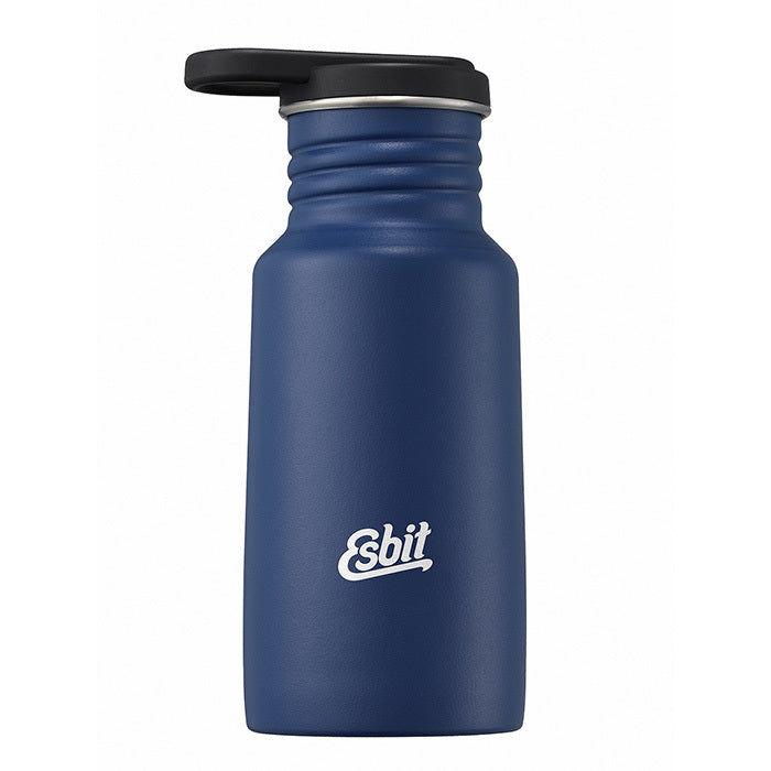 PICTOR Edelstahl Trinkflasche, 350ML, Water Blue