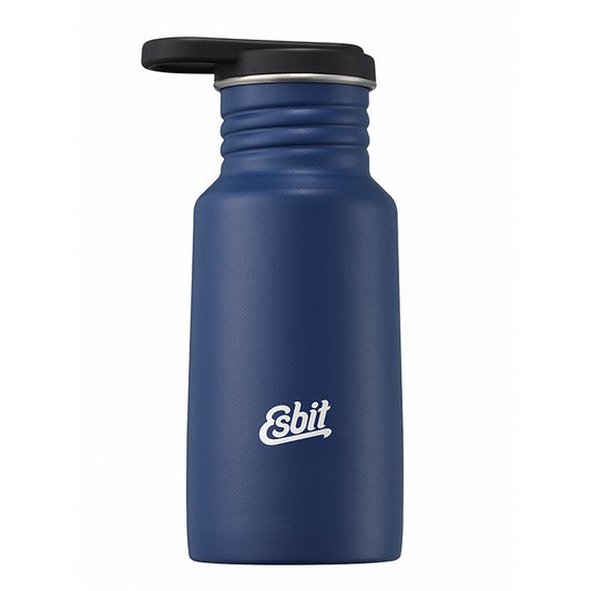 PICTOR Edelstahl Trinkflasche, 350ML, Water Blue