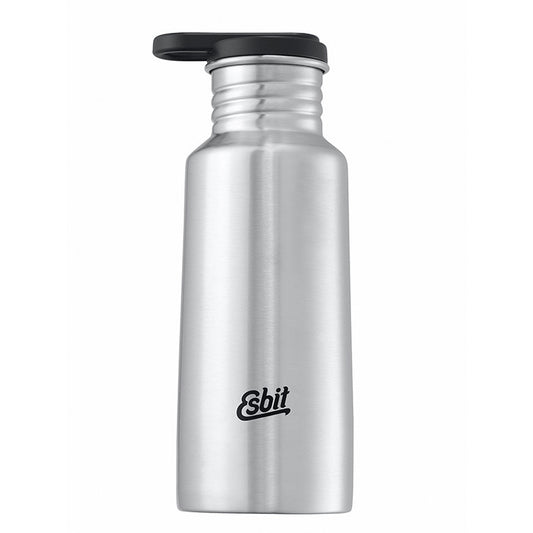 PICTOR Edelstahl Trinkflasche, 550ML, Edelstahl